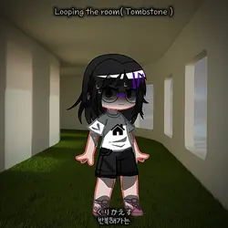 Looping the room(Tb)
