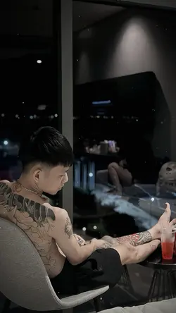 Trình chiếu