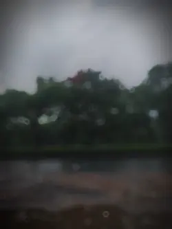 আল্লাহর কাছে চাইবেন।