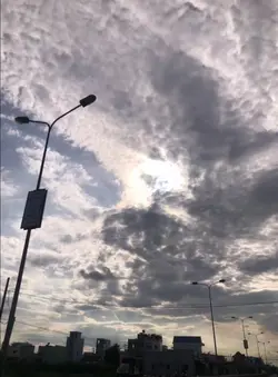 mẫu 1 ảnh