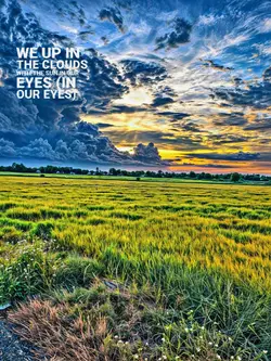 Ultra HD - IPhone