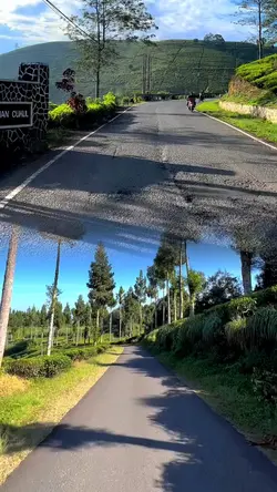 2 video collage