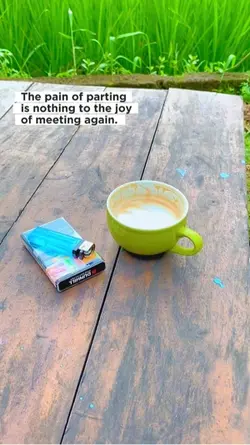 Quotes 