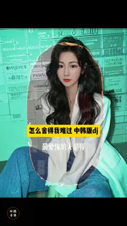 怎么舍得我难过 dj中韩版