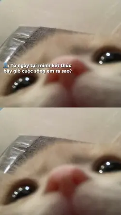 8 pic