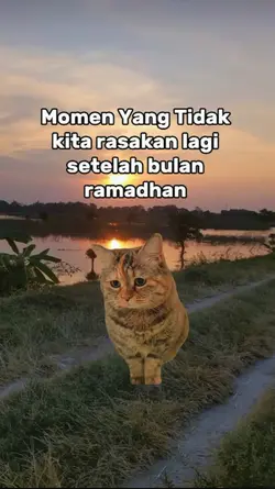 Story