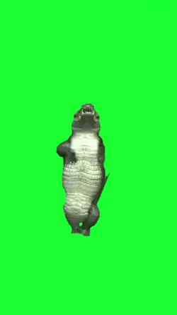 crocodile dancing