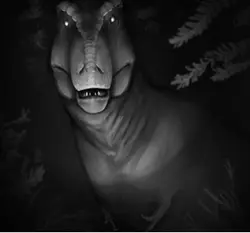 T-REX EDIT