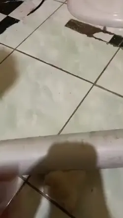 core 1 video