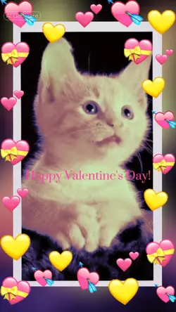 Pet Valentines Greet