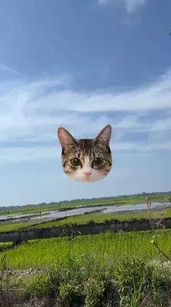kelakar Palembang 