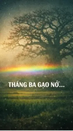 Tháng ba hoa gạo nở