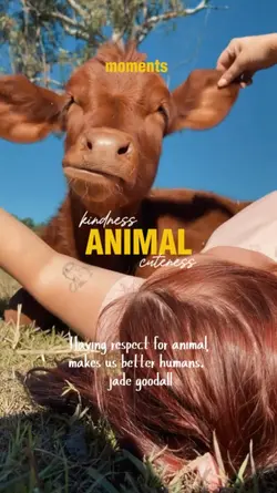 Animal Loved