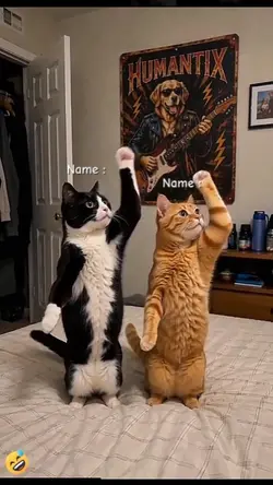 Dance Cat Trend..