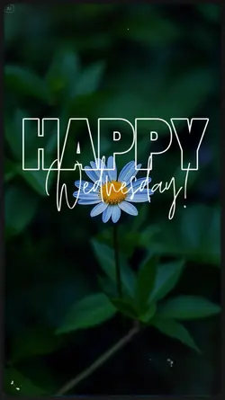Happy Wednesday