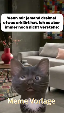 CAT HÄ meme 