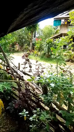 Super init Ng earth 