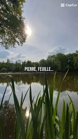 pierre feuille...