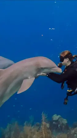 snorkeling