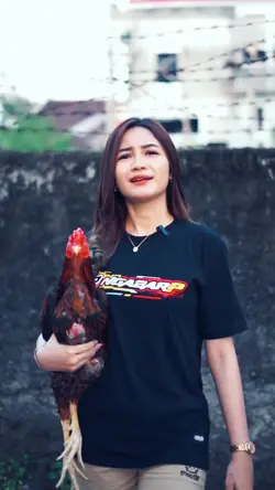 ayam story 