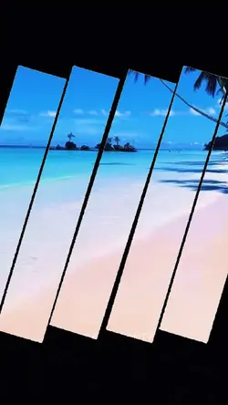 Video template 