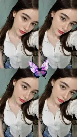 butterflies 
