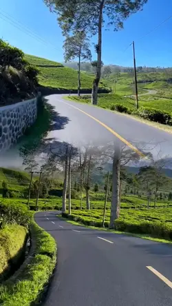 2 videos 1 frame