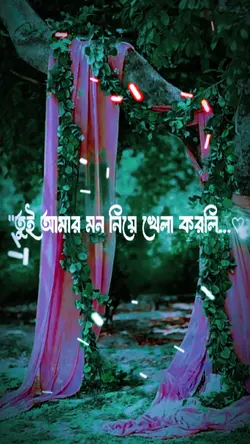 তুই আমার মন নিয়ে 