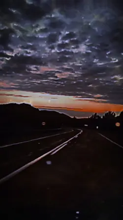 VELOCITY 