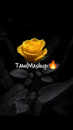 New Trending