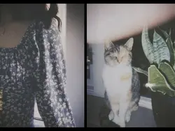 2 pict aesthetic