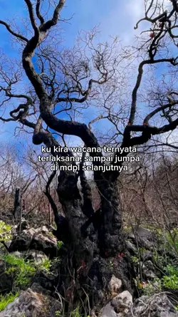 jj mendaki gunung