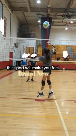 volleyball 