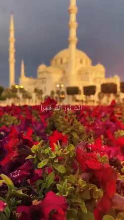 Ya Nabi Salam Alaika