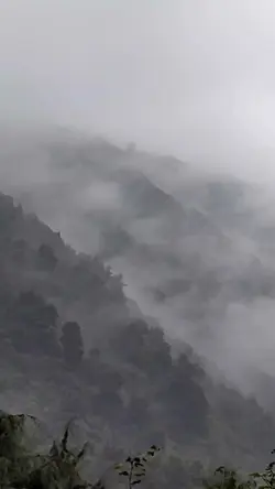 snowfall