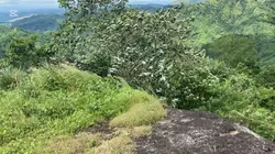 Takas sa bundok