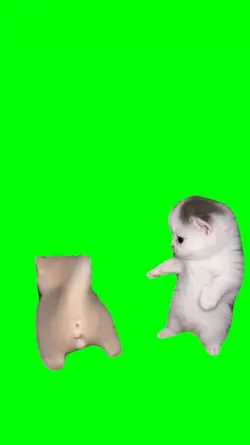 SHAKE IT DANCE TREND