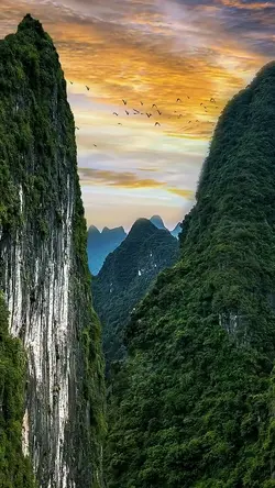TRAVEL VIRAL