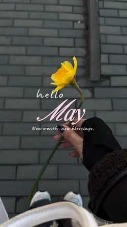 Hello may
