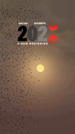 2025-2026