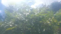 chill vibes