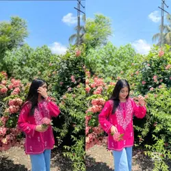 2 PICS 