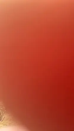 senangnya bisa libur