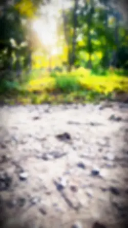 Nature is calling 