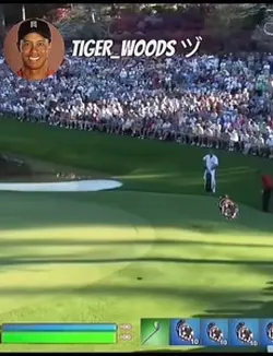 Another Golf Edit⛳️🐅
