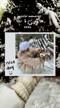 beautiful winter