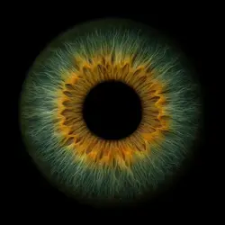 Eye trend