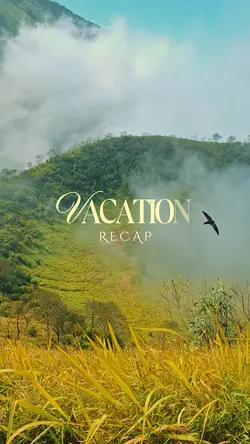 Vacation