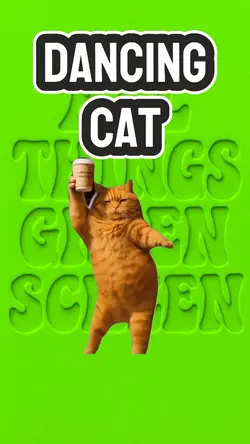 Dancing Cat 