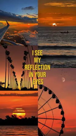I see my reflection